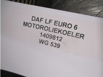 Chladič oleje pro Nákladní auto DAF LF 1409812 MOTOROLIEKOELER EURO 6: obrázek 2