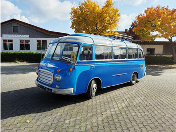 : fotografie hlavičky