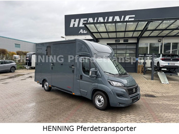 Fiat Ducato *NEUWAGEN* ca.1100 kg Nutzlast  leasing Fiat Ducato *NEUWAGEN* ca.1100 kg Nutzlast: obrázek 1