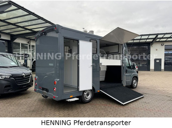 Fiat Ducato *NEUWAGEN* ca.1100 kg Nutzlast  leasing Fiat Ducato *NEUWAGEN* ca.1100 kg Nutzlast: obrázek 3