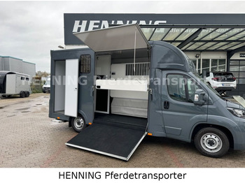 Fiat Ducato *NEUWAGEN* ca.1100 kg Nutzlast  leasing Fiat Ducato *NEUWAGEN* ca.1100 kg Nutzlast: obrázek 4