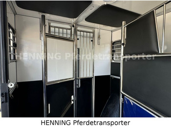 Opel Movano 3 - Sitzer *AUFBAU NEU*  leasing Opel Movano 3 - Sitzer *AUFBAU NEU*: obrázek 5