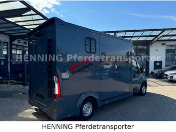 Opel Movano 3 - Sitzer *AUFBAU NEU*  leasing Opel Movano 3 - Sitzer *AUFBAU NEU*: obrázek 2