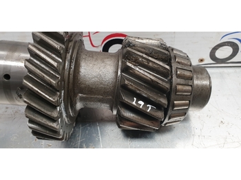 Převodovka a díly pro Rýpadlo-nakladač Massey Ferguson 50 Hx Gearbox Shaft Gear Z 35/29/19 1695793m1, 1691249m1: obrázek 2