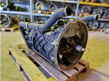 : fotografie hlavičky