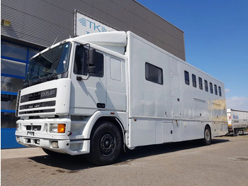 Auto na přepravu koní DAF 95 350