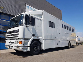 Auto na přepravu koní DAF 95 350