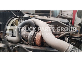 : fotografie hlavičky