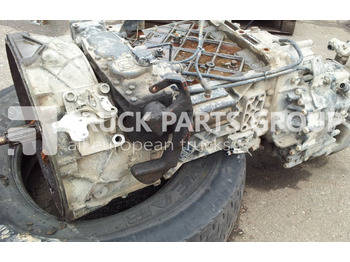 : fotografie hlavičky