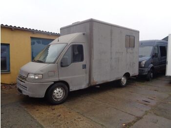 Auto na přepravu koní Peugeot Boxer Tiertransporter Pferdetransporter Klasse B: obrázek 1