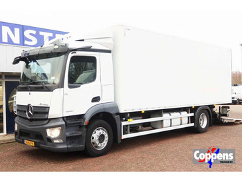 : fotografie hlavičky