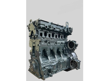 : fotografie hlavičky