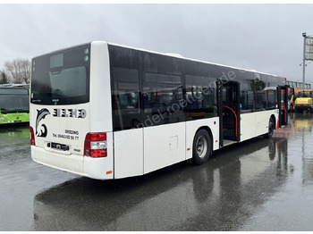 Městský autobus MAN A 37 Lion´s City: obrázek 4 Městský autobus MAN A 37 Lion´s City: obrázek 4