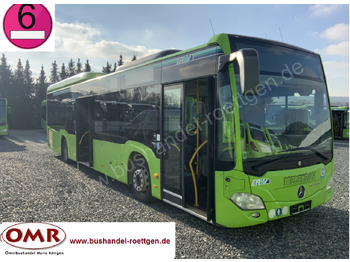 : fotografie hlavičky