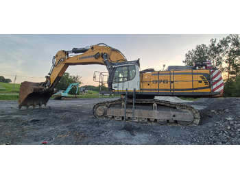 Pásové rýpadlo LIEBHERR R976 HD: obrázek 3