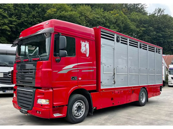 Přepravník zvířat DAF XF 105 460