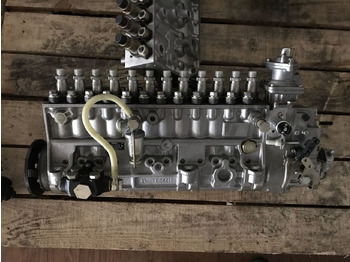 : fotografie hlavičky