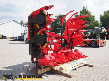 : fotografie hlavičky