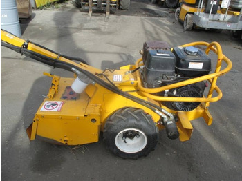 : fotografie hlavičky