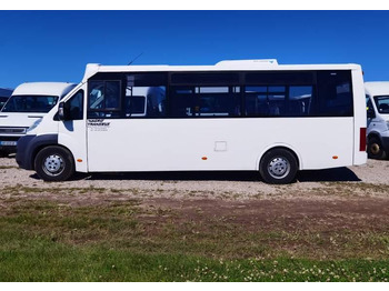 Městský autobus Fiat Ducato miejski, przewóz osób niepełnosprawnych: obrázek 5