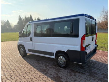 Minibus, Mikrobus FIAT Ducato: obrázek 3