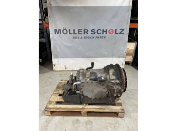 : fotografie hlavičky