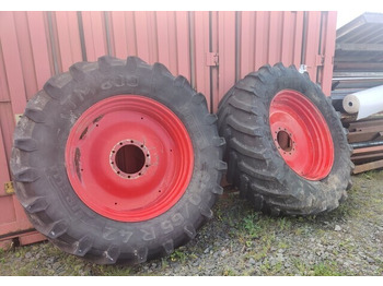 : fotografie hlavičky