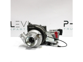 : fotografie hlavičky