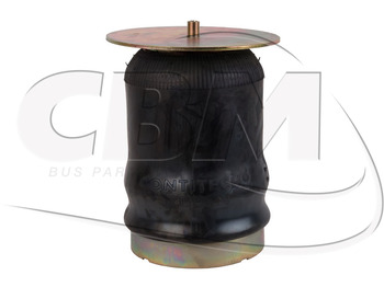 Vzdušný podvěs IRISBUS