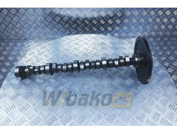 : fotografie hlavičky