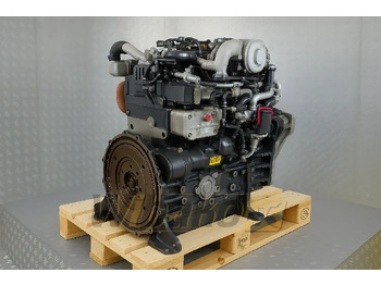 : fotografie hlavičky