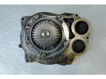 : fotografie hlavičky