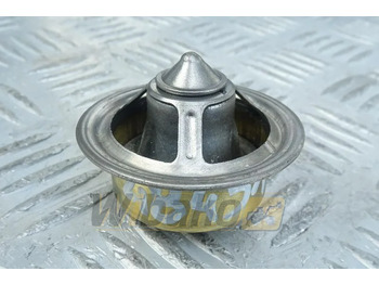 : fotografie hlavičky