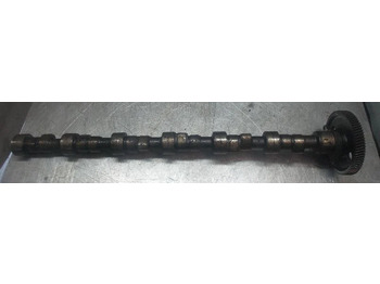 : fotografie hlavičky