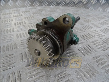 : fotografie hlavičky