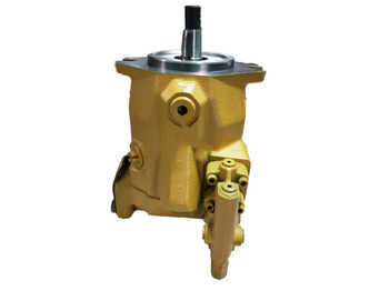 : fotografie hlavičky