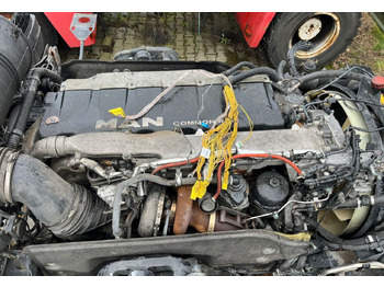 : fotografie hlavičky