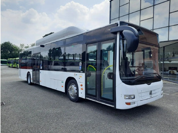 Městský autobus MAN Lion's City A21