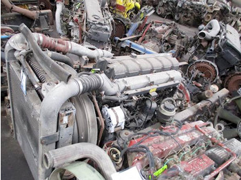 : fotografie hlavičky