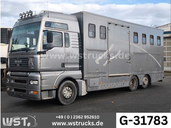 Auto na přepravu koní MAN TGA 26.480