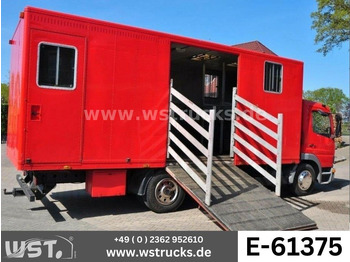 Auto na přepravu koní MERCEDES-BENZ