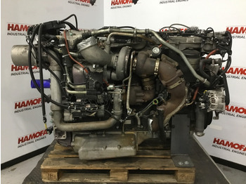 : fotografie hlavičky