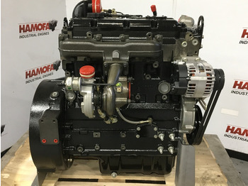 : fotografie hlavičky