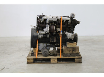 : fotografie hlavičky