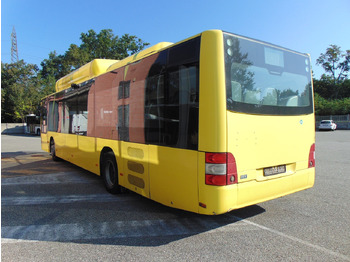 N.2 MAN A21 CNG – Anno 2010 leasing N.2 MAN A21 CNG – Anno 2010: obrázek 5
