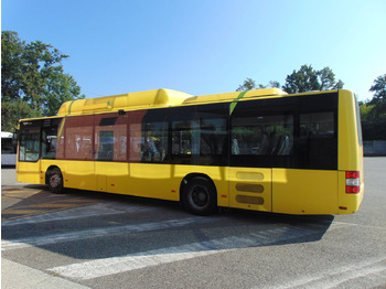 N.2 MAN A21 CNG – Anno 2010 leasing N.2 MAN A21 CNG – Anno 2010: obrázek 4