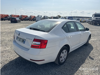 Osobní auto 2020 Skoda Octavia Autovettura: obrázek 3