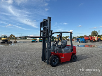 Dieselový vysokozdvižný vozík 2025 Plus Power VTDD 25 (Unused) Forklift: obrázek 2