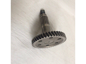 : fotografie hlavičky