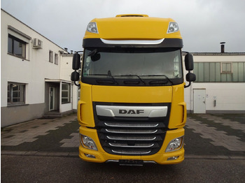 Kontejnérový podvozek/ Výměnná nástavba DAF XF 480, Jumbo BDF, SSC, Standklima, Intarder: obrázek 2